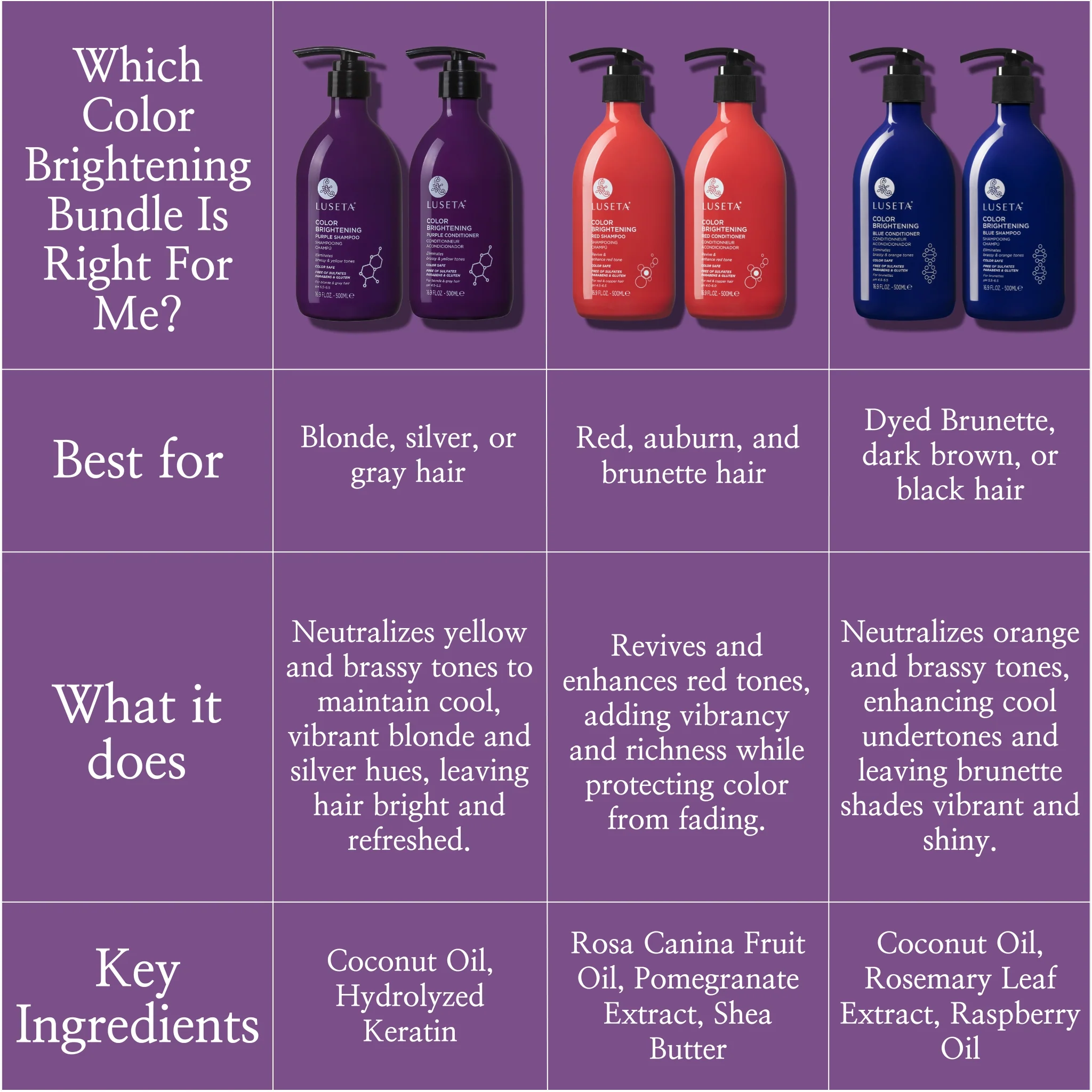 Color Brightening Purple Kit - Image 5