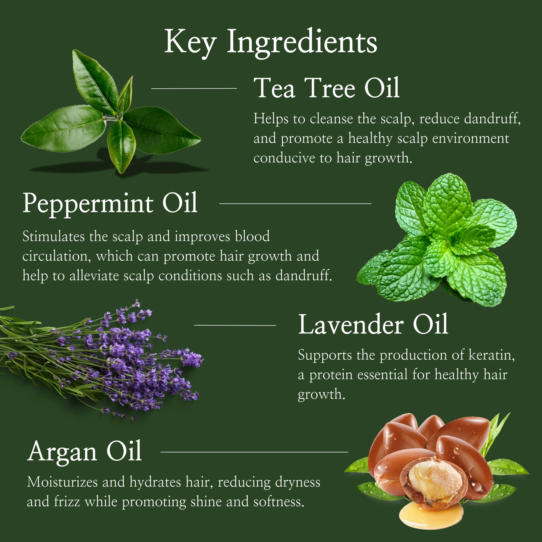 Tea Tree & Argan Oil Balance & Refresh Kit - Image 4