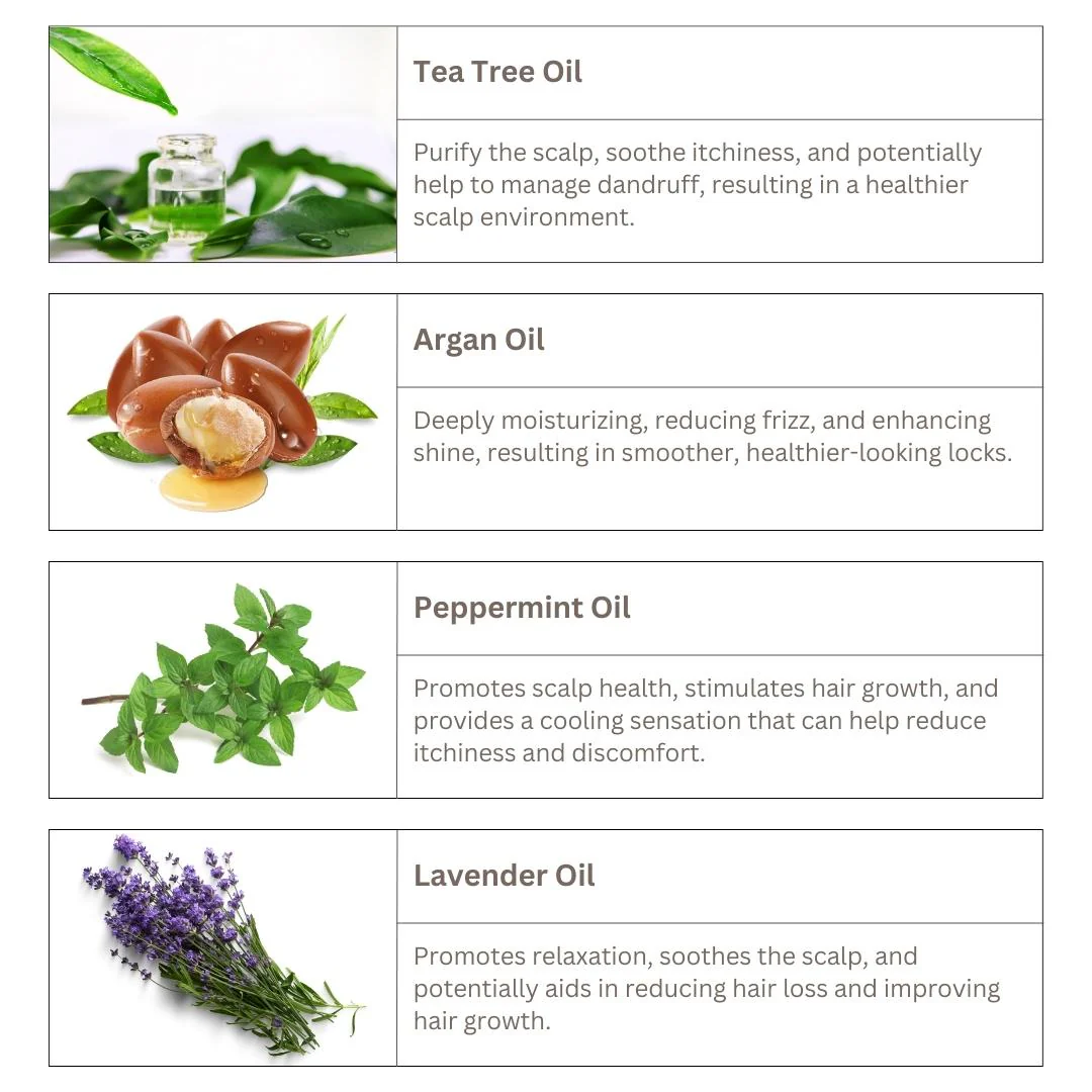 Tea Tree & Argan Oil Shampoo - Image 3